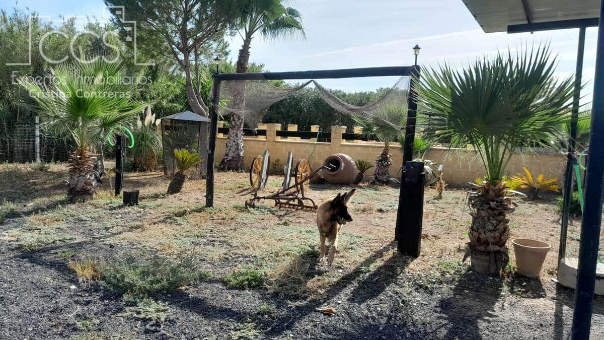Finca/Country House for sale in Almonte - € 110,000 (Ref: 8062365)