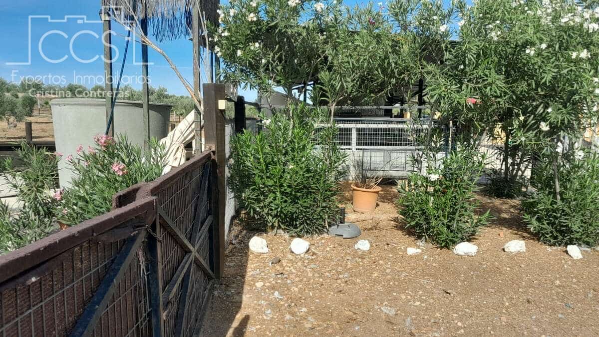 Finca/Country House for sale in Almonte - € 110,000 (Ref: 8062365)
