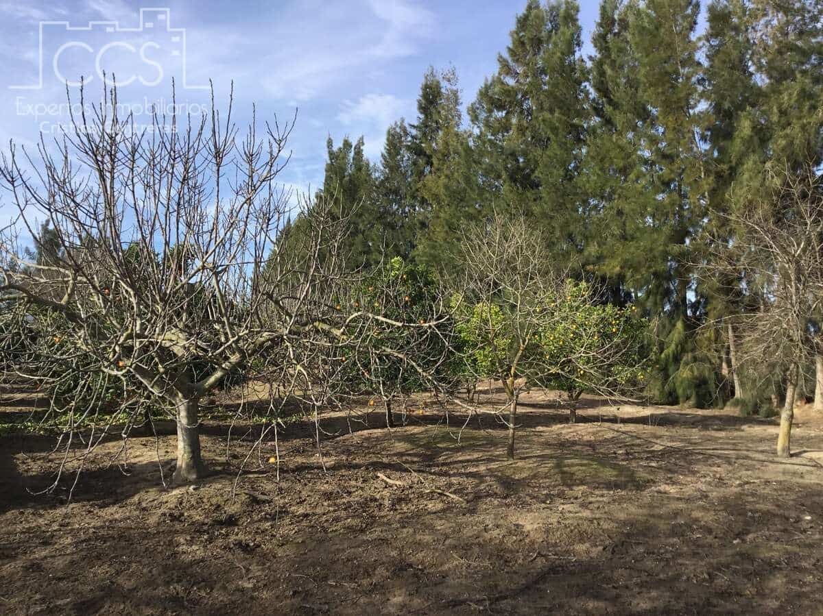 3 bedroom Finca/Country House for sale in Almonte with pool € 97,500