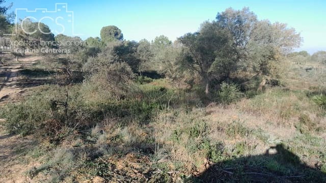 Building Plot for sale in Almonte - € 22,000 (Ref: 8232843)