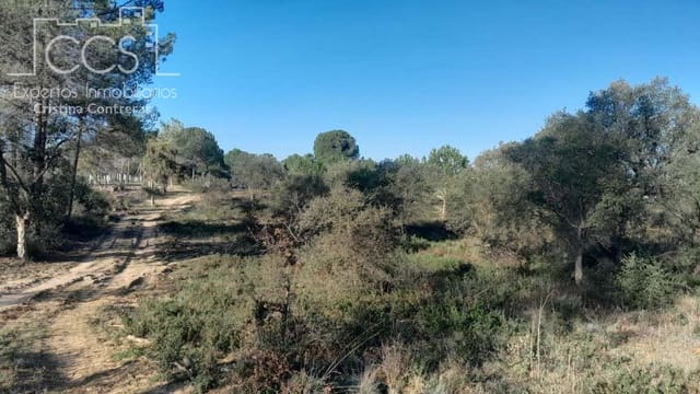 Area Edificabile in vendita in Almonte - 19.000 € (Rif: 8232843)