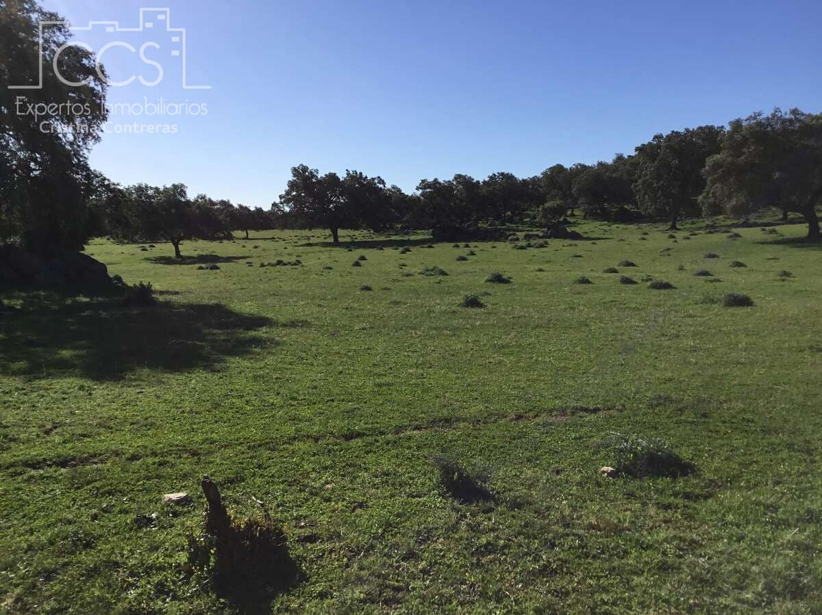 6 soveværelse Finca/Landehus til salg i El Pedroso med swimmingpool - € 635.000 (Ref: 8247007)