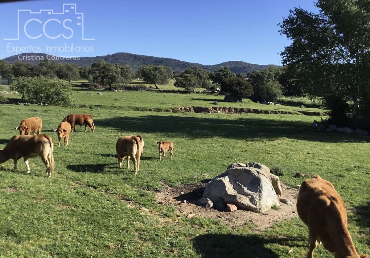 6 soveværelse Finca/Landehus til salg i El Pedroso med swimmingpool - € 635.000 (Ref: 8247007)