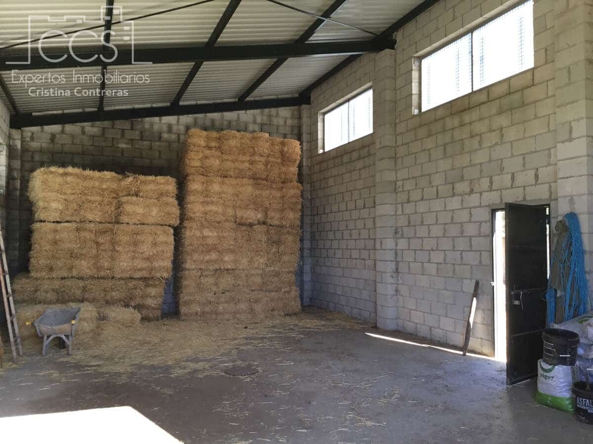 6 soveværelse Finca/Landehus til salg i El Pedroso med swimmingpool - € 635.000 (Ref: 8247007)