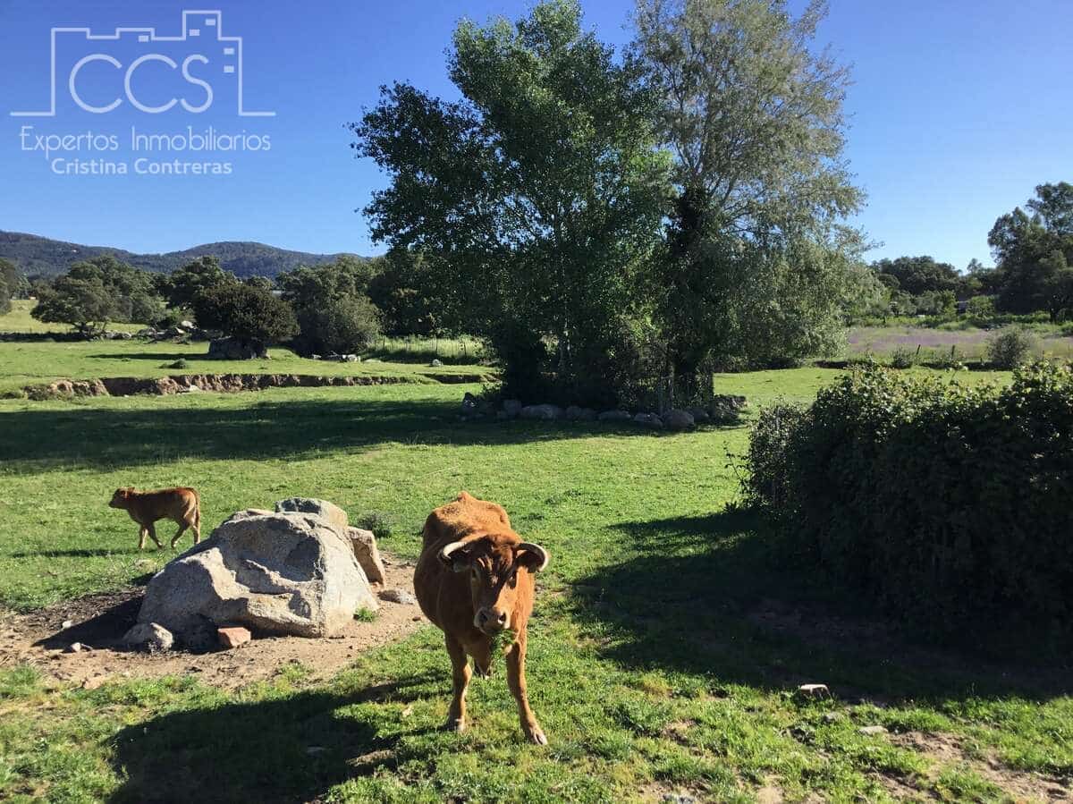 6 soveværelse Finca/Landehus til salg i El Pedroso med swimmingpool - € 635.000 (Ref: 8247007)