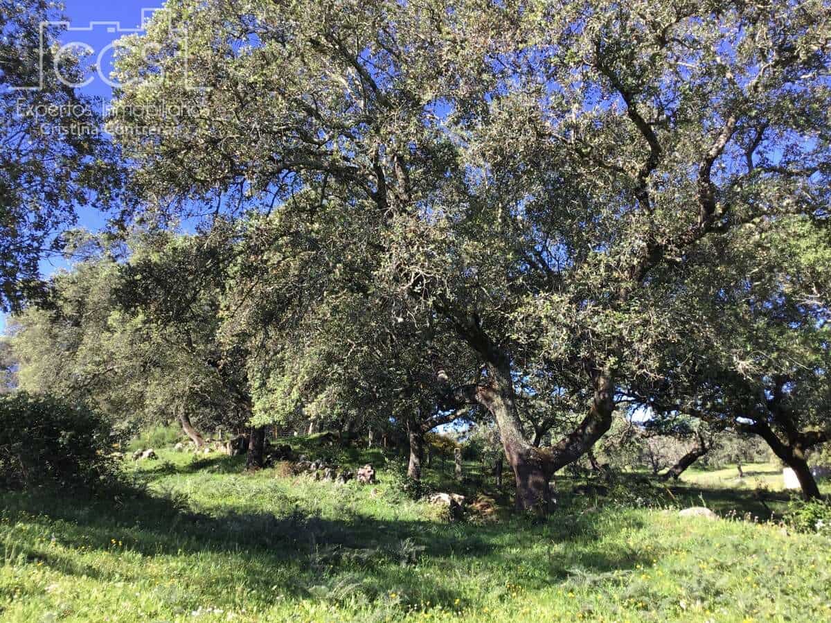 6 soveværelse Finca/Landehus til salg i El Pedroso med swimmingpool - € 635.000 (Ref: 8247007)