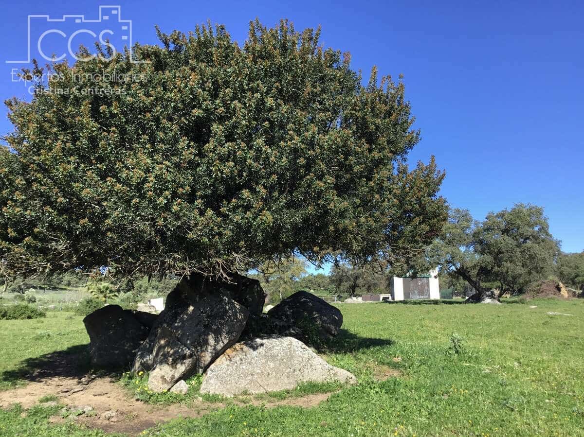 6 soveværelse Finca/Landehus til salg i El Pedroso med swimmingpool - € 635.000 (Ref: 8247007)