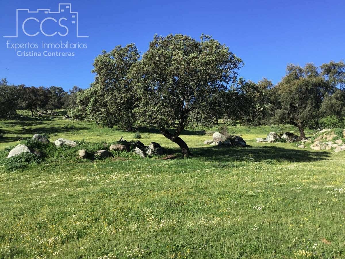 6 soveværelse Finca/Landehus til salg i El Pedroso med swimmingpool - € 635.000 (Ref: 8247007)