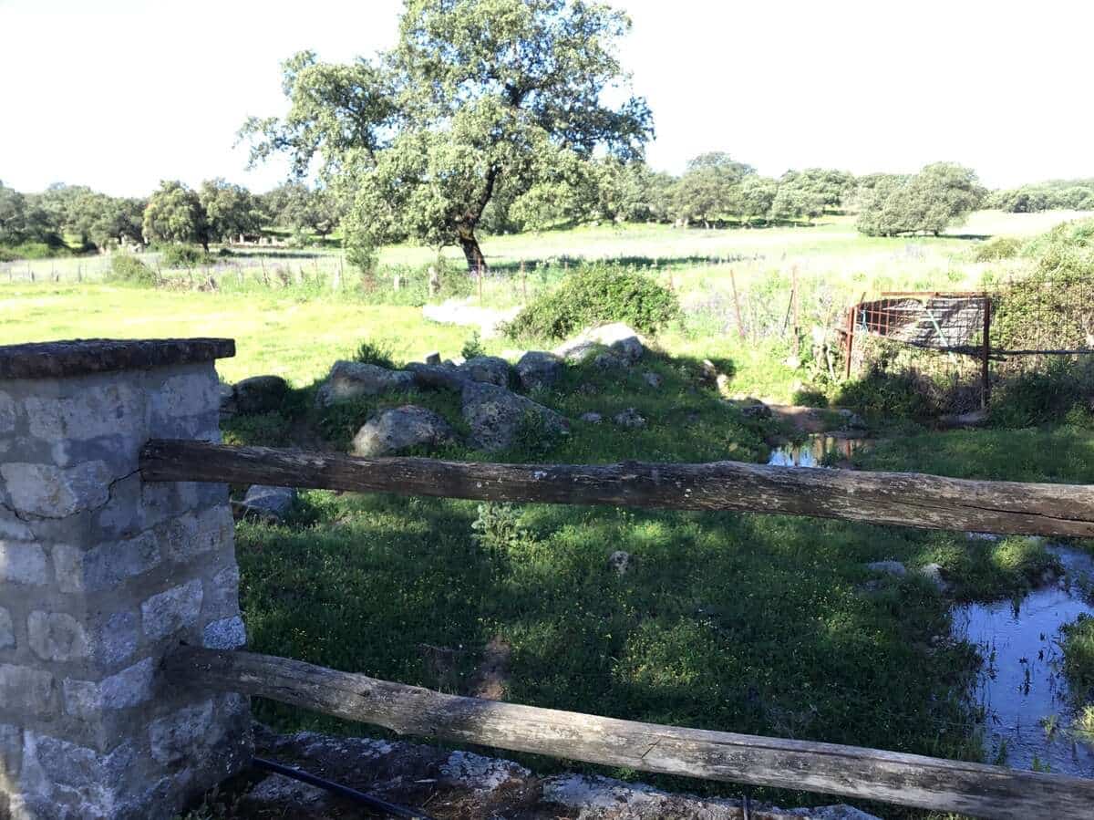 6 soveværelse Finca/Landehus til salg i El Pedroso med swimmingpool - € 635.000 (Ref: 8247007)