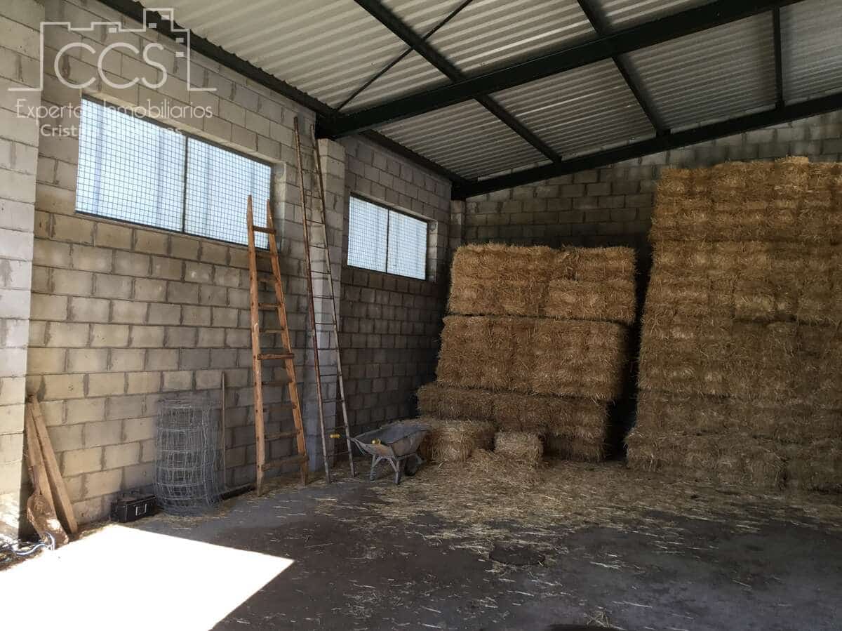 6 soveværelse Finca/Landehus til salg i El Pedroso med swimmingpool - € 635.000 (Ref: 8247007)