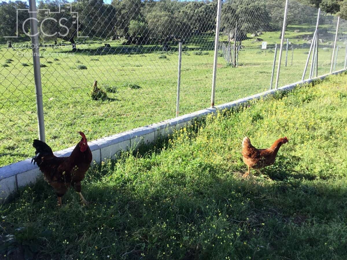 6 soveværelse Finca/Landehus til salg i El Pedroso med swimmingpool - € 635.000 (Ref: 8247007)