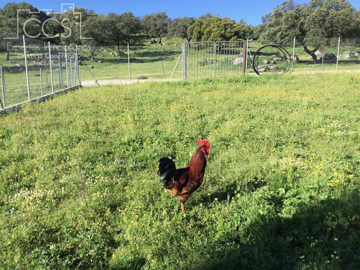 6 soveværelse Finca/Landehus til salg i El Pedroso med swimmingpool - € 635.000 (Ref: 8247007)