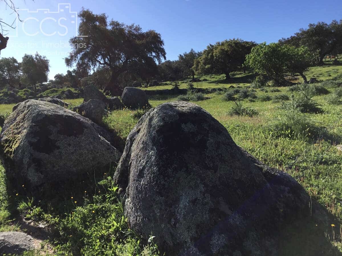 6 soveværelse Finca/Landehus til salg i El Pedroso med swimmingpool - € 635.000 (Ref: 8247007)