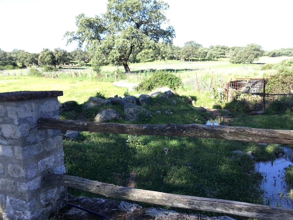 6 bedroom Finca/Country House for sale in El Pedroso with pool - € 635,000 (Ref: 8247007)