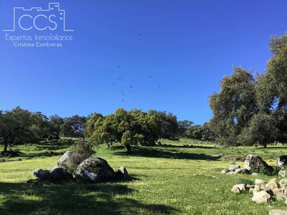 6 bedroom Finca/Country House for sale in El Pedroso with pool - € 635,000 (Ref: 8247007)