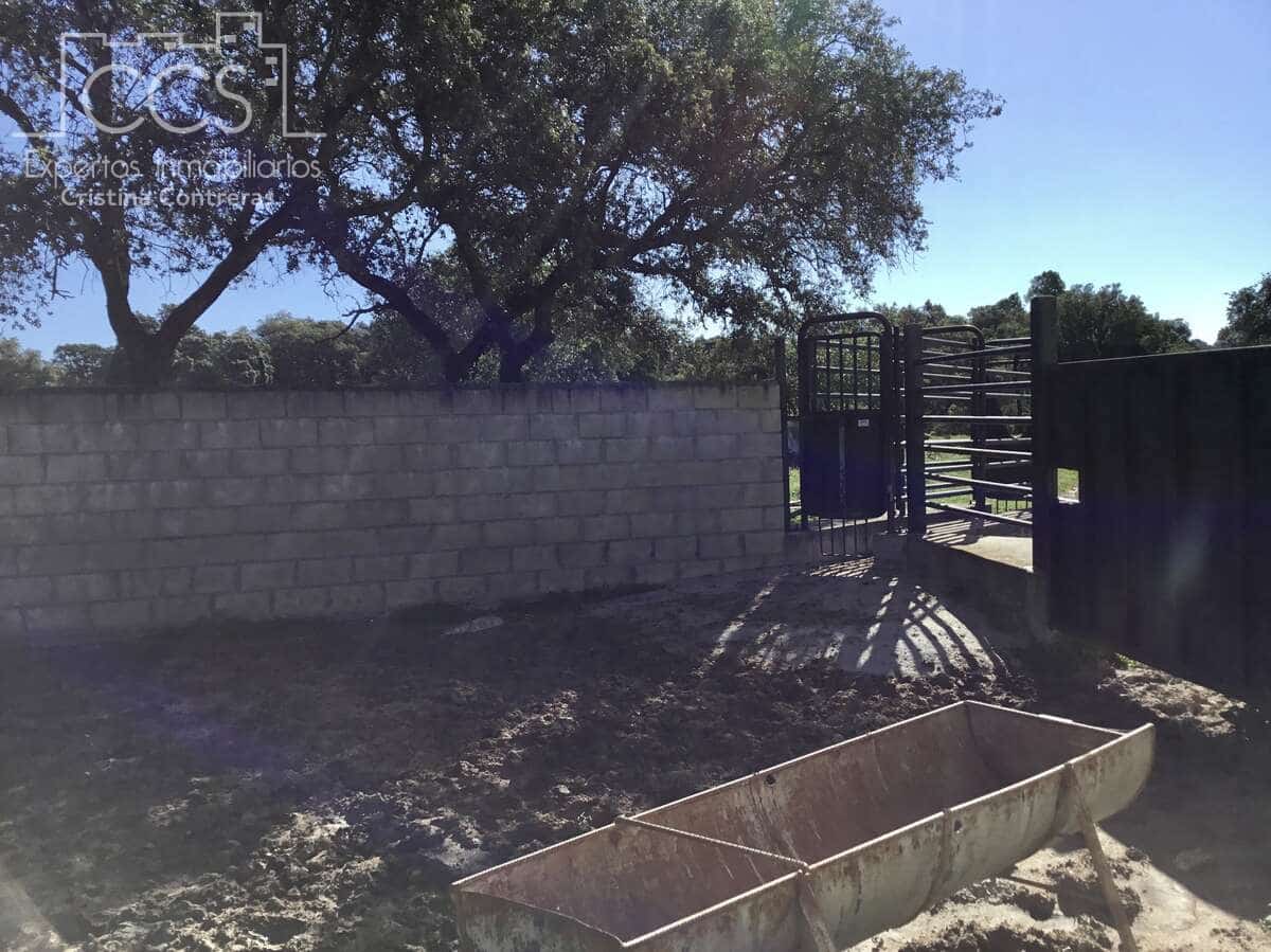 6 bedroom Finca/Country House for sale in El Pedroso with pool - € 635,000 (Ref: 8247007)