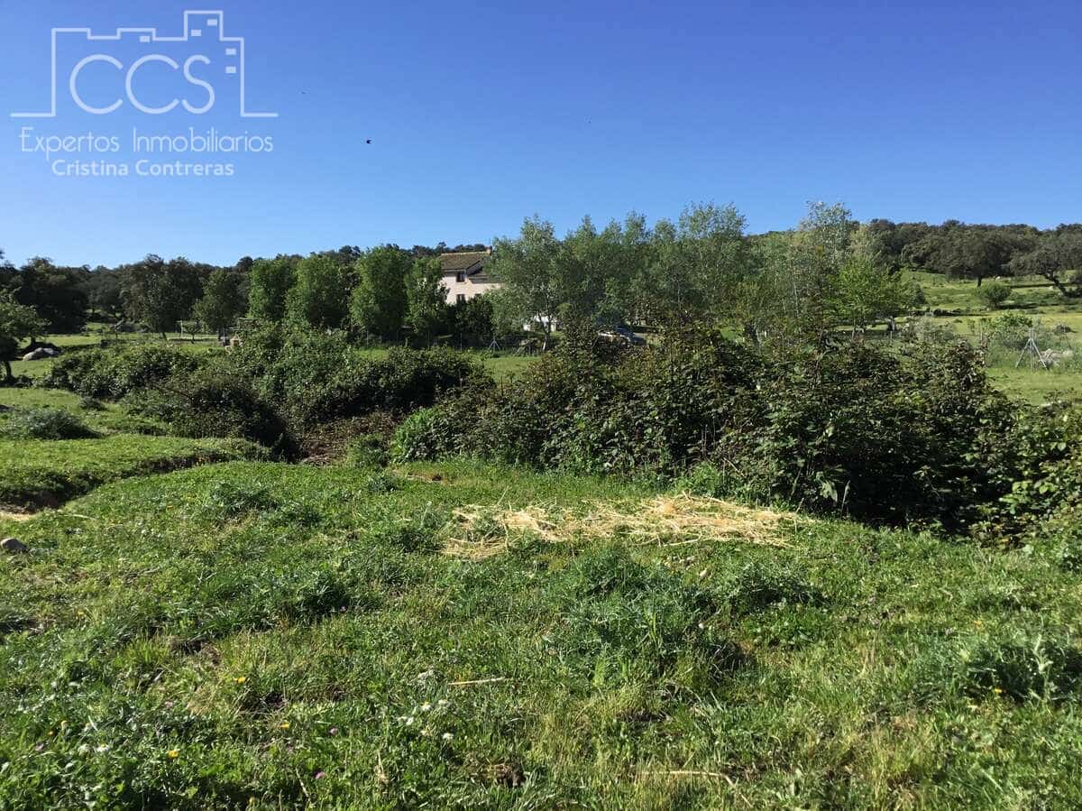 6 bedroom Finca/Country House for sale in El Pedroso with pool - € 635,000 (Ref: 8247007)