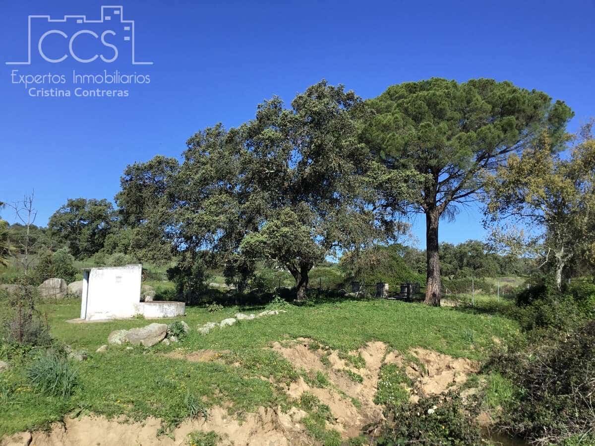 6 bedroom Finca/Country House for sale in El Pedroso with pool - € 635,000 (Ref: 8247007)