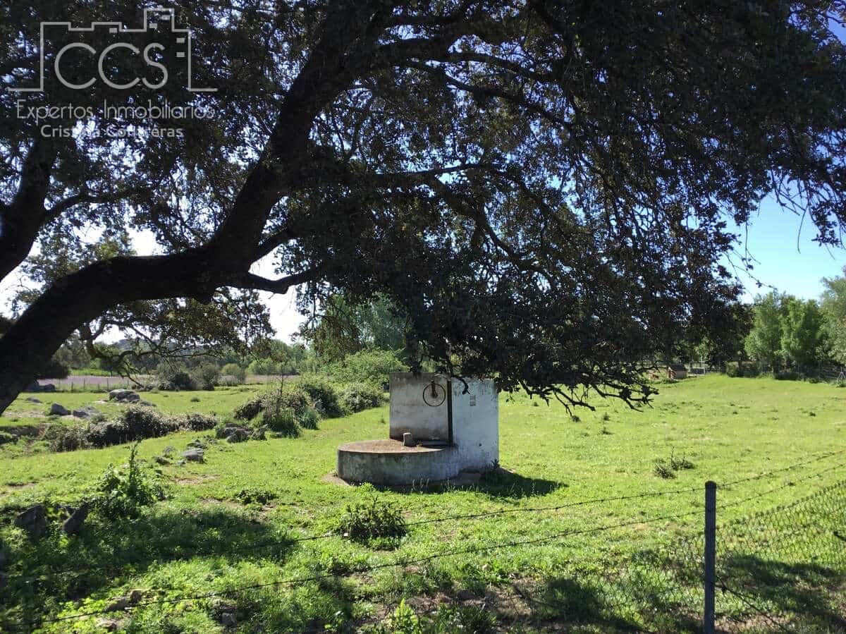 6 bedroom Finca/Country House for sale in El Pedroso with pool - € 635,000 (Ref: 8247007)