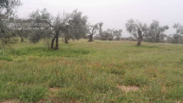 Building Plot for sale in Almonte - € 22,000 (Ref: 8324052)