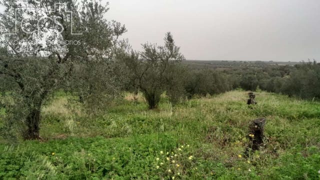 Building Plot for sale in Almonte - € 22,000 (Ref: 8324052)