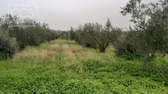 Bauplatz zu verkaufen in Almonte - 22.000 € (Ref: 8324052)
