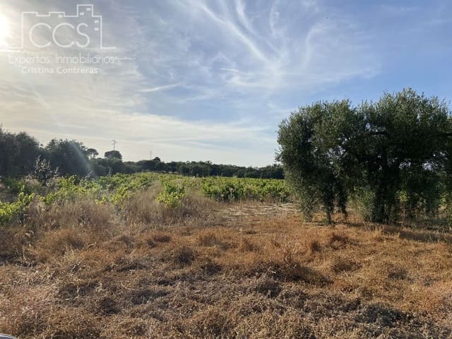 Building Plot for sale in Almonte - € 49,000 (Ref: 8387842)