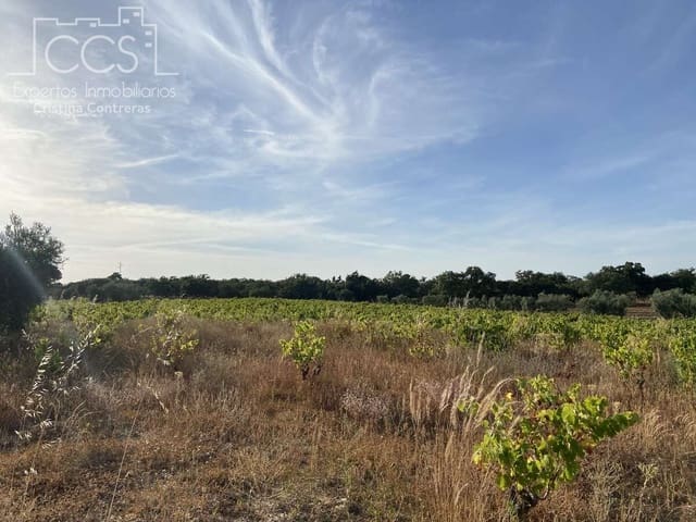 Building Plot for sale in Almonte - € 49,000 (Ref: 8387842)