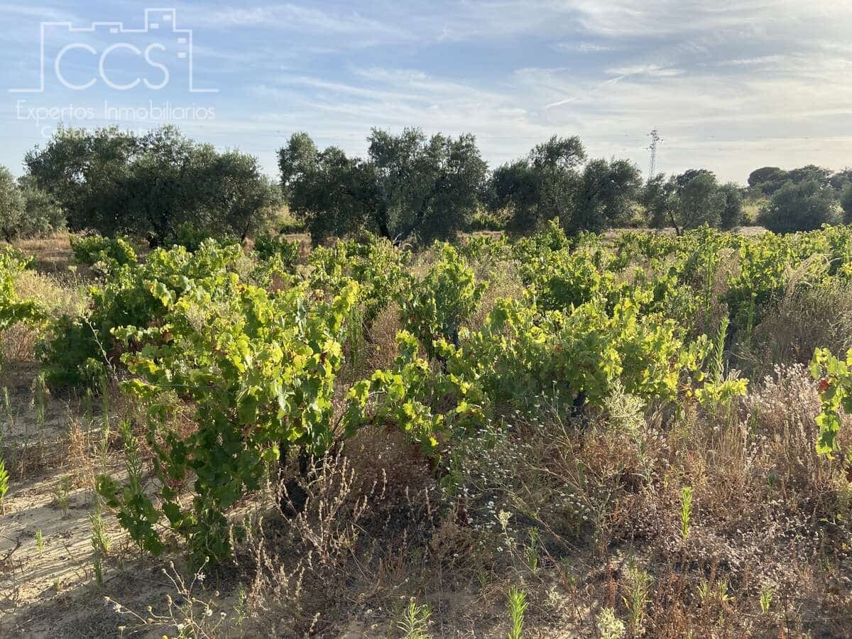 Solar/Parcela en Almonte en venta - 49.000 € (Ref: 8387842)