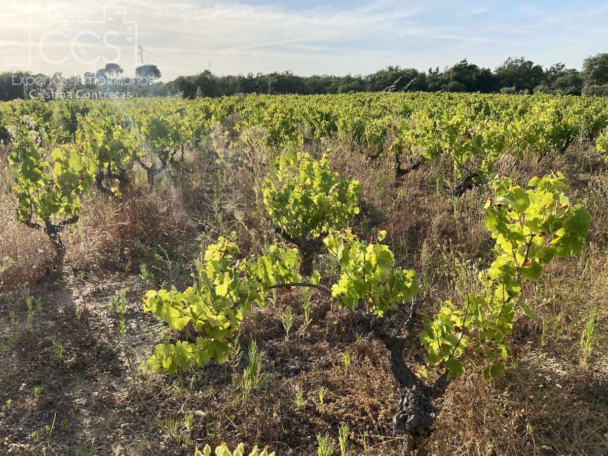 Solar/Parcela en Almonte en venta - 49.000 € (Ref: 8387842)