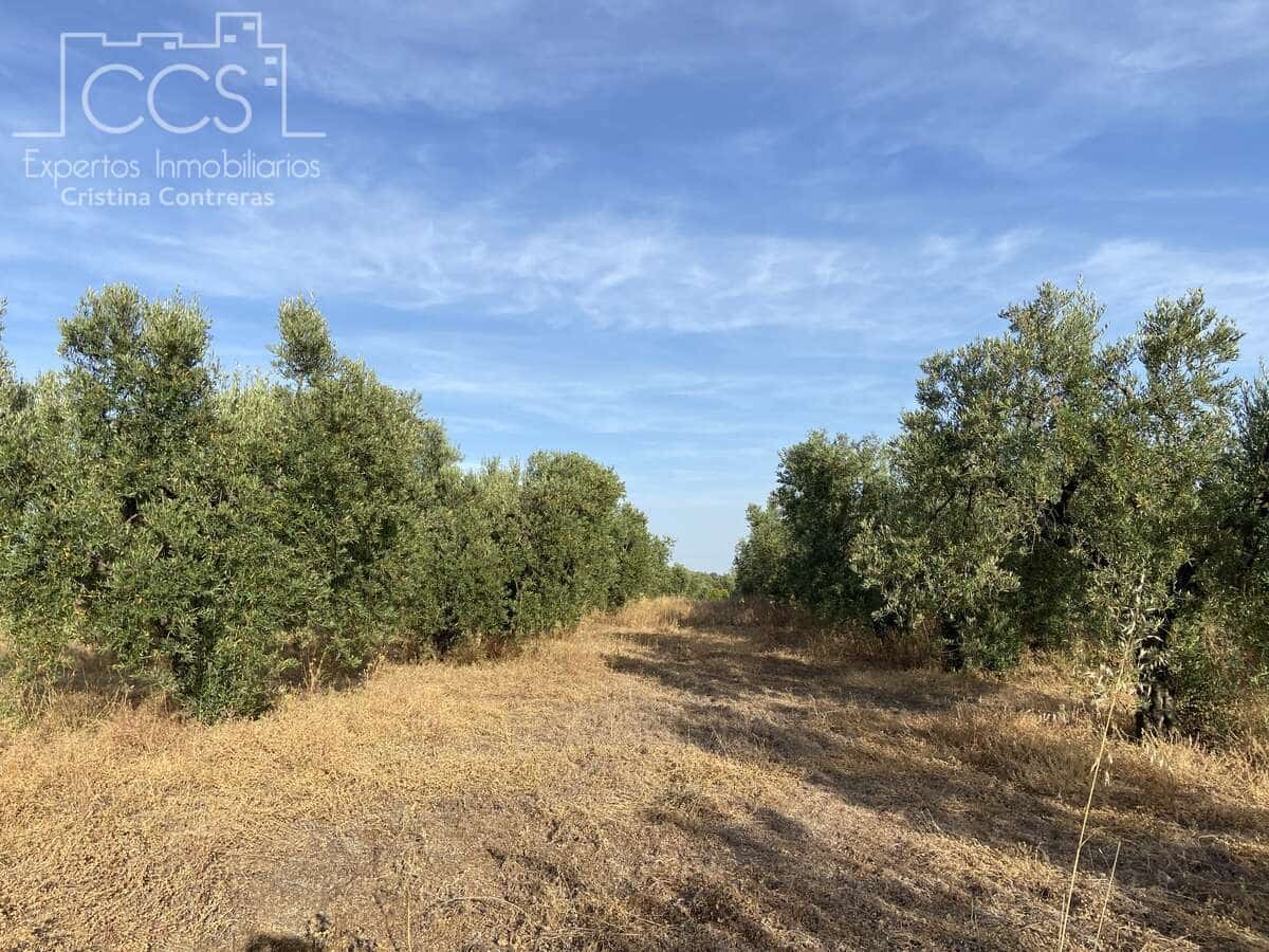 Building Plot for sale in Almonte - € 49,000 (Ref: 8387842)