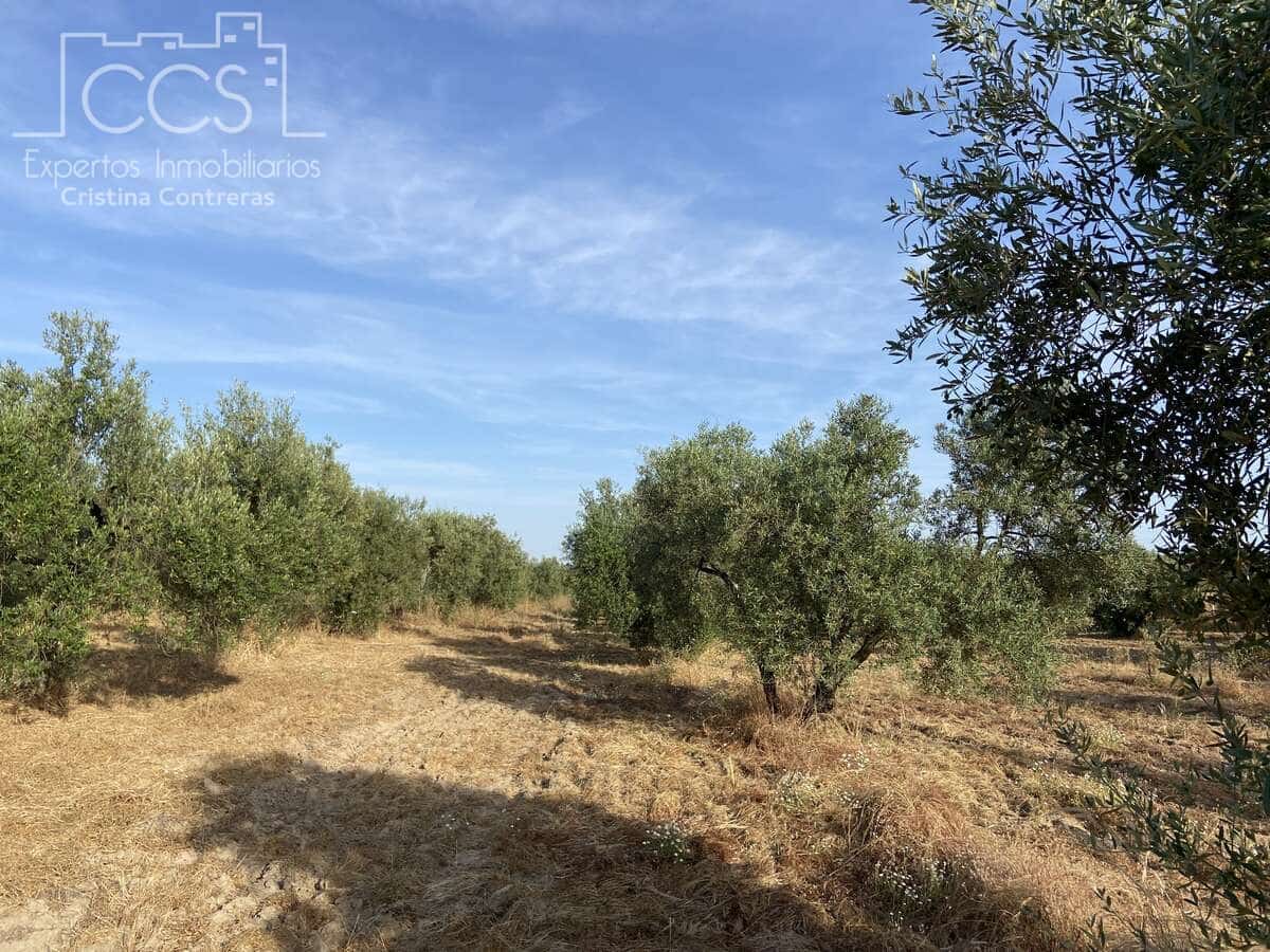 Building Plot for sale in Almonte - € 49,000 (Ref: 8387842)