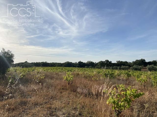 Bouwgrond te koop in Almonte - € 49.000 (Ref: 8387842)