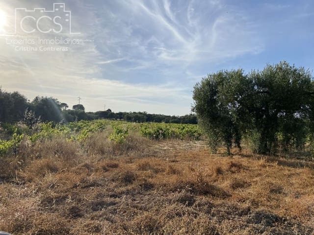 Bouwgrond te koop in Almonte - € 49.000 (Ref: 8387842)
