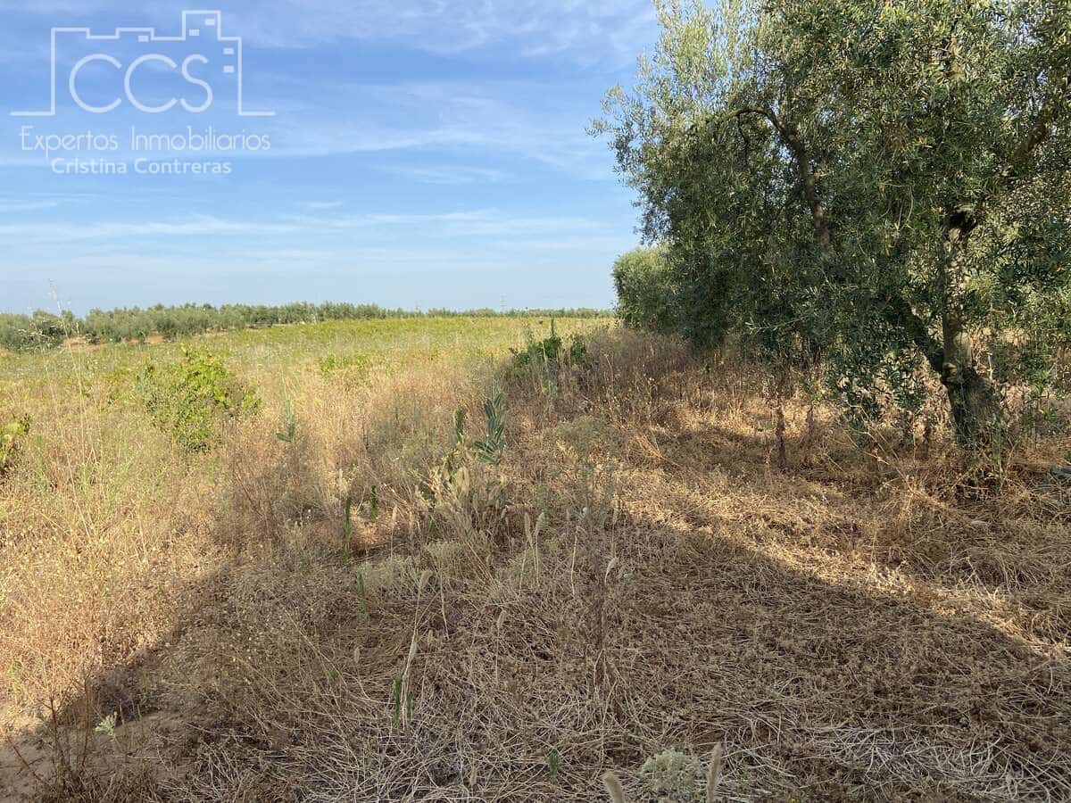 Building Plot for sale in Almonte - € 49,000 (Ref: 8387842)