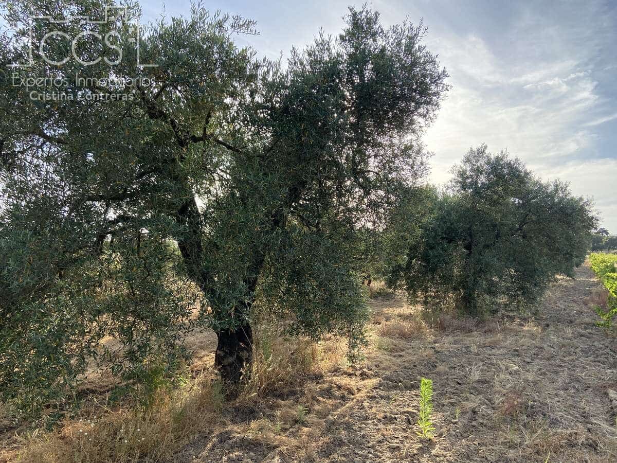 Building Plot for sale in Almonte - € 49,000 (Ref: 8387842)