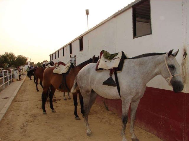 Finca/Herregård til salgs i Sanlúcar la Mayor - € 300 000 (Ref: 8396255)