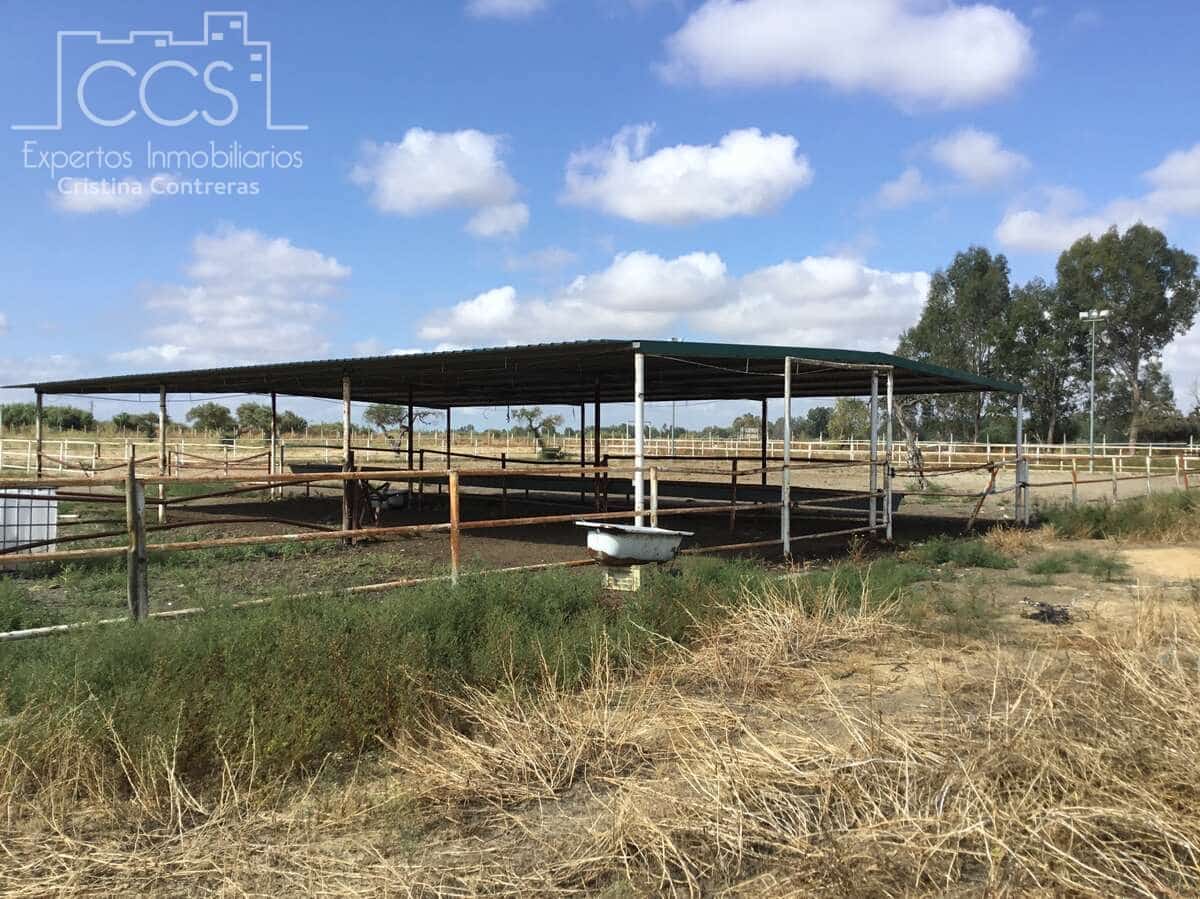 Finka/Dom wiejski na sprzedaż w Sanlucar la Mayor - 300 000 € (Ref: 8396255)