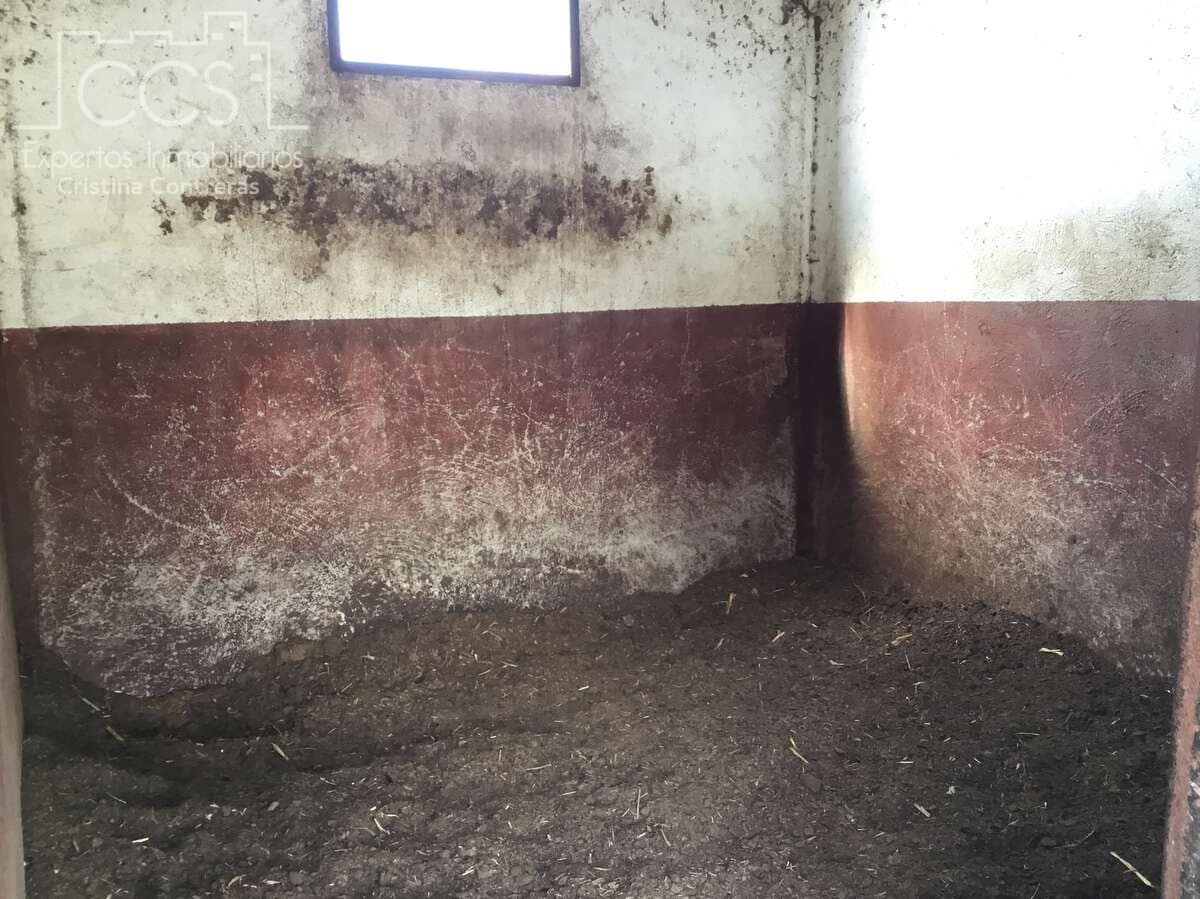 Finka/Dom wiejski na sprzedaż w Sanlucar la Mayor - 300 000 € (Ref: 8396255)