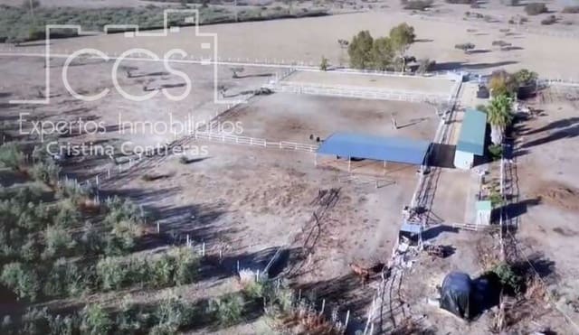 Finka/Dom wiejski na sprzedaż w Sanlúcar la Mayor - 300 000 € (Ref: 8396255)