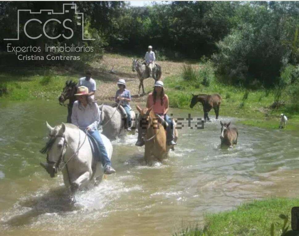 Quinta/Casa Rural para venda em Sanlucar la Mayor - 300 000 € (Ref: 8396255)