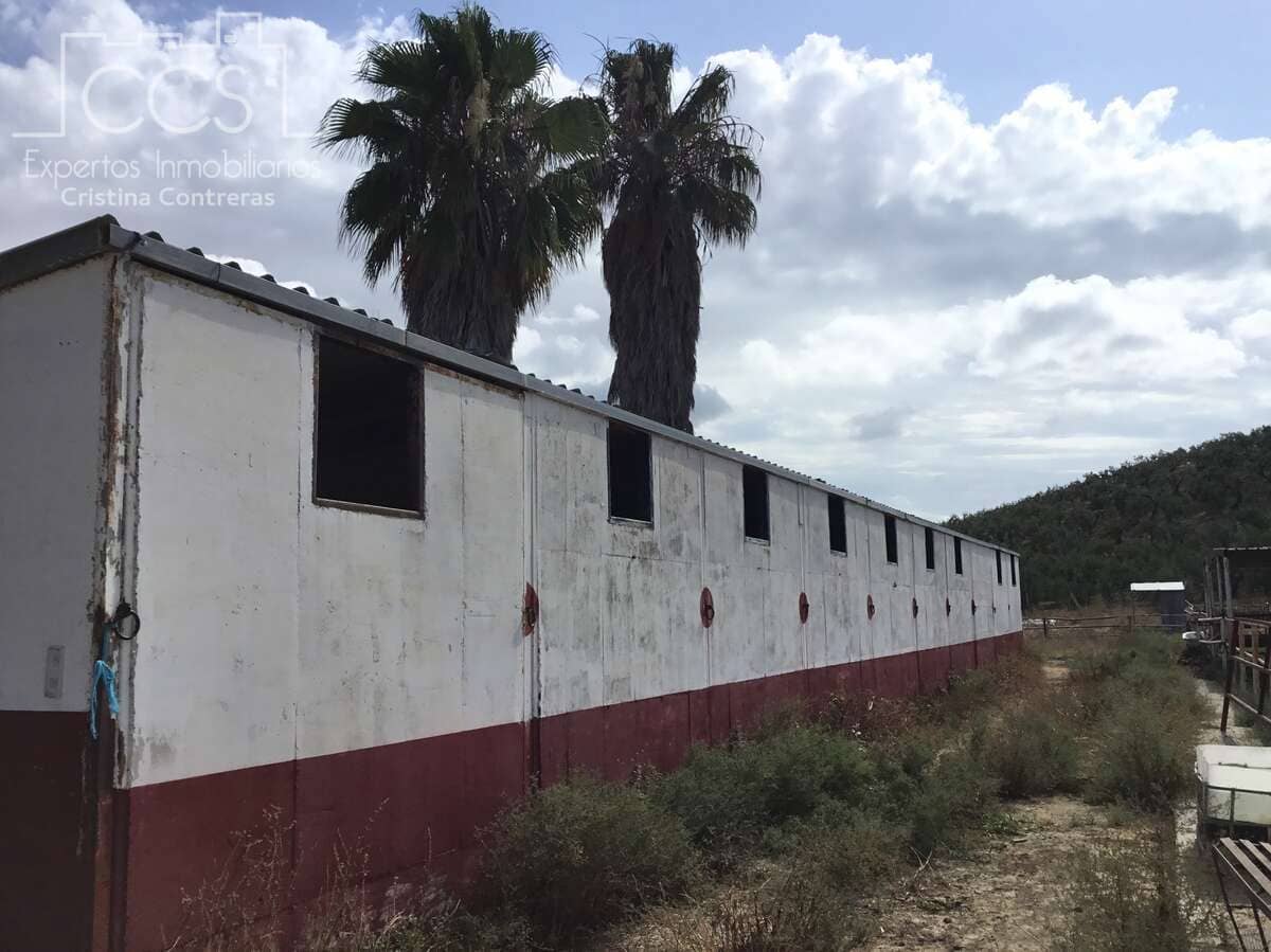 Quinta/Casa Rural para venda em Sanlucar la Mayor - 300 000 € (Ref: 8396255)