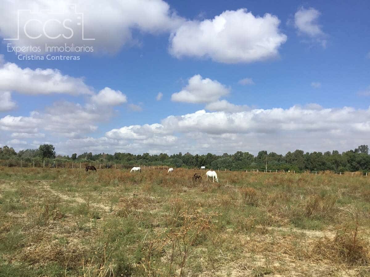 Quinta/Casa Rural para venda em Sanlucar la Mayor - 300 000 € (Ref: 8396255)