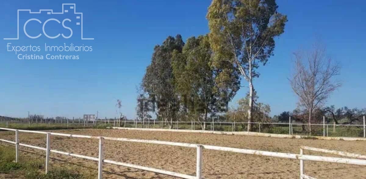 Quinta/Casa Rural para venda em Sanlucar la Mayor - 300 000 € (Ref: 8396255)