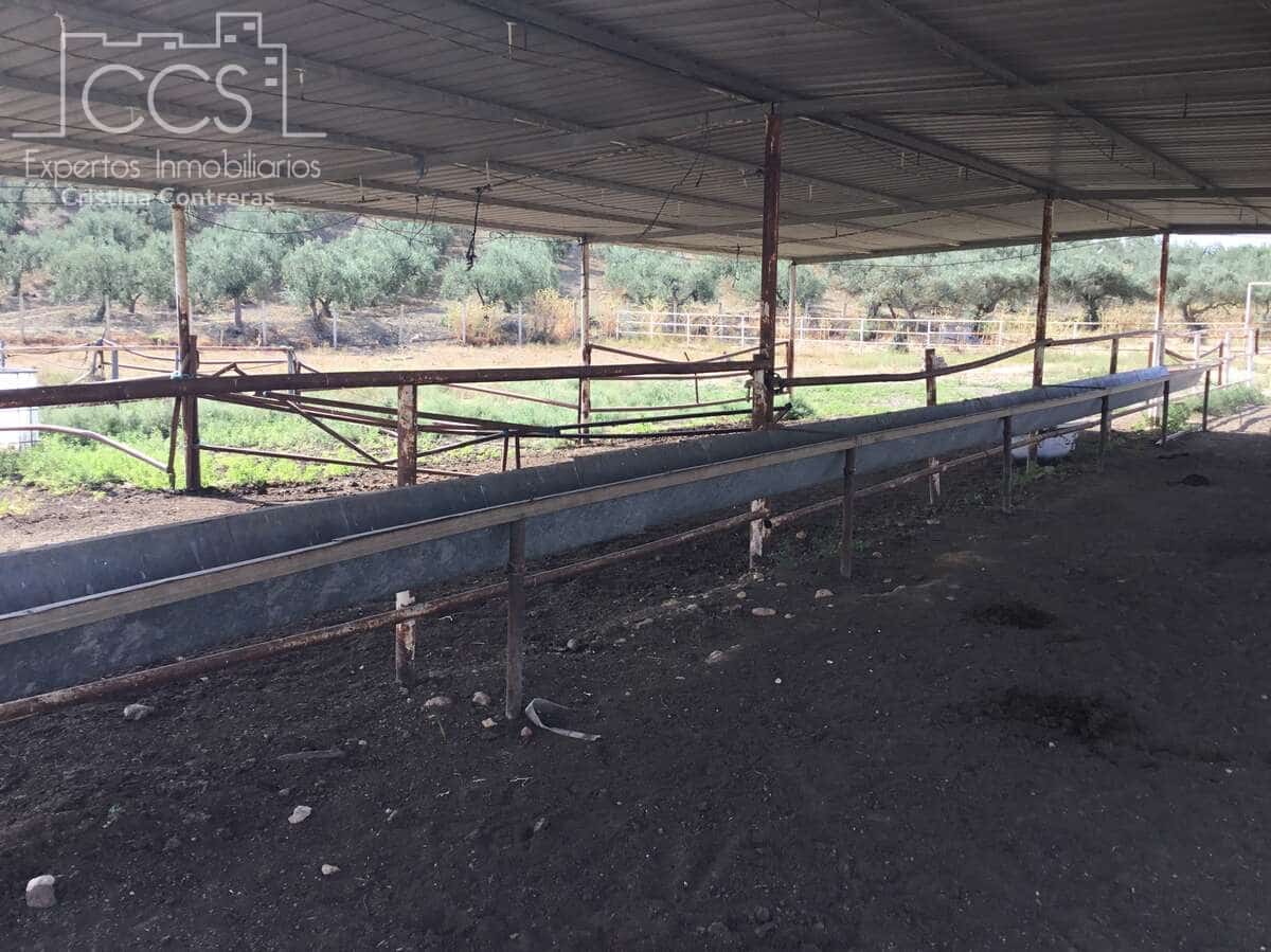 Quinta/Casa Rural para venda em Sanlucar la Mayor - 300 000 € (Ref: 8396255)