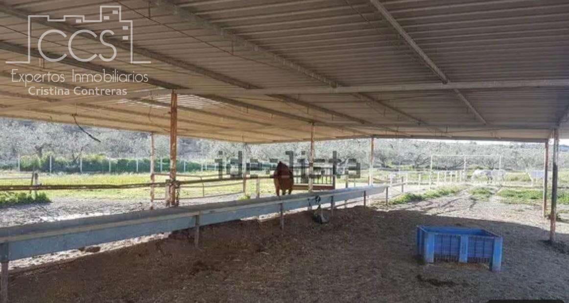 Quinta/Casa Rural para venda em Sanlucar la Mayor - 300 000 € (Ref: 8396255)