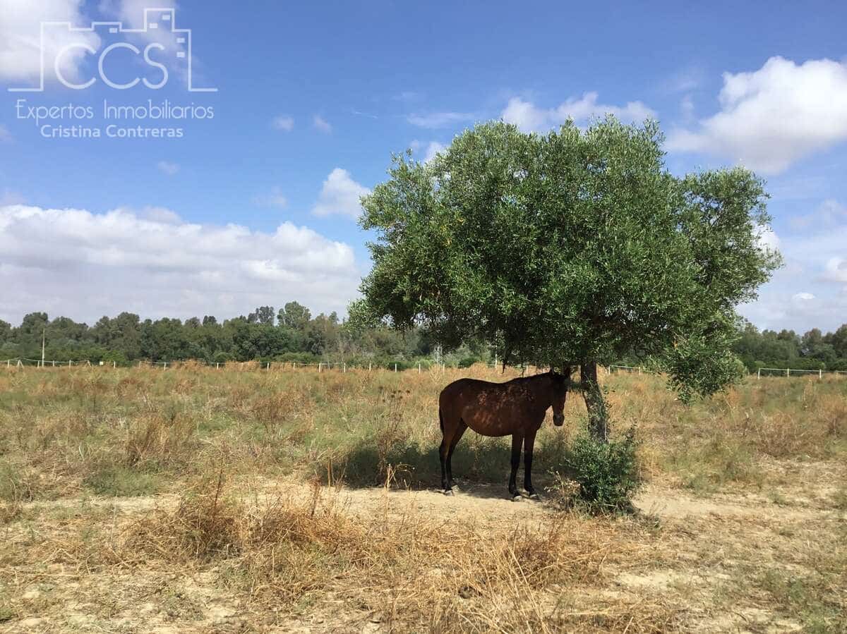 Quinta/Casa Rural para venda em Sanlucar la Mayor - 300 000 € (Ref: 8396255)
