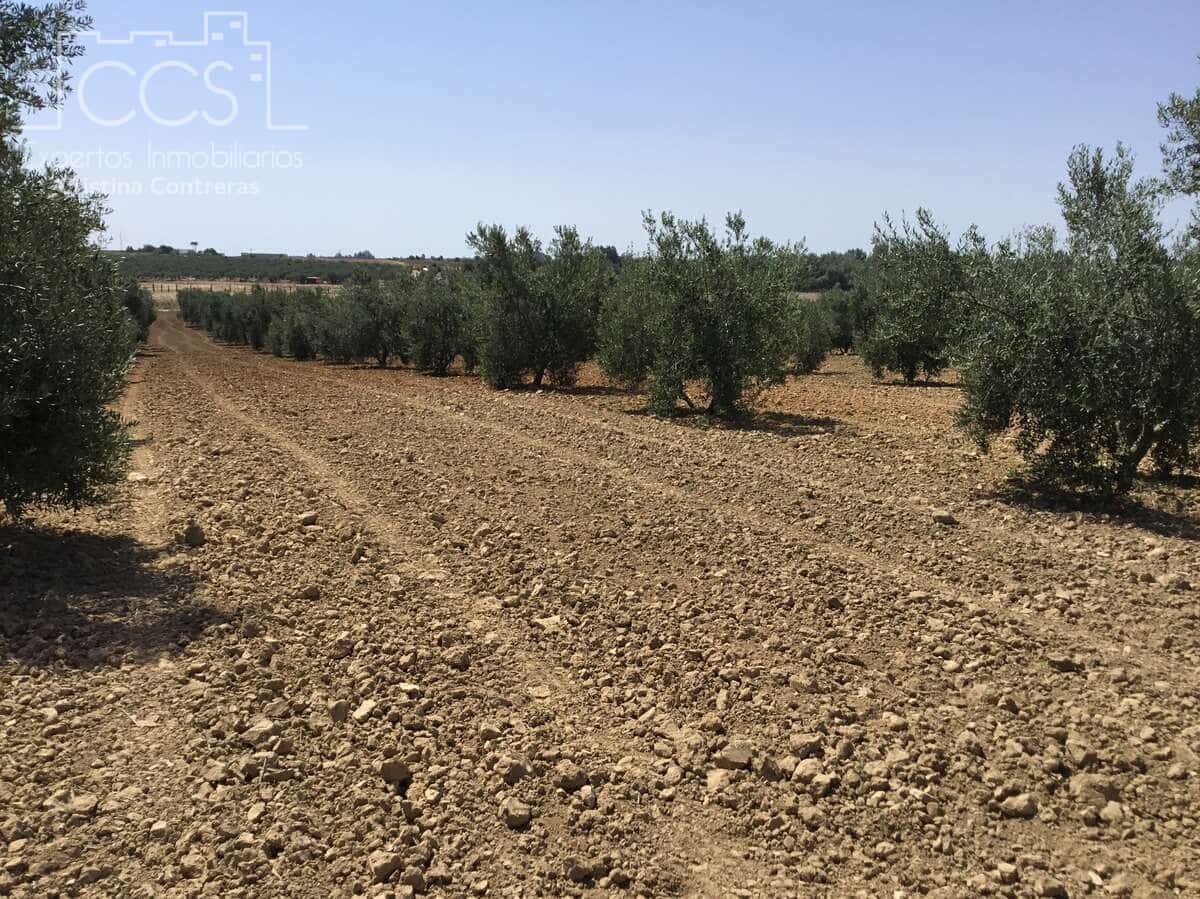 Byggegrund til salg i Almonte - € 78.000 (Ref: 8457615)