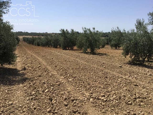 Byggegrund til salg i Almonte - € 78.000 (Ref: 8457615)