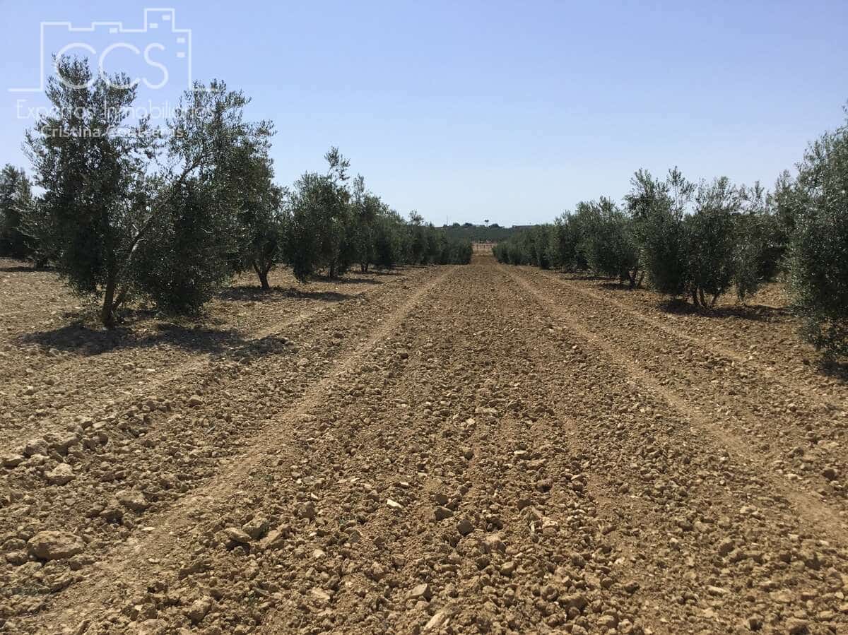 Byggegrund til salg i Almonte - € 78.000 (Ref: 8457615)